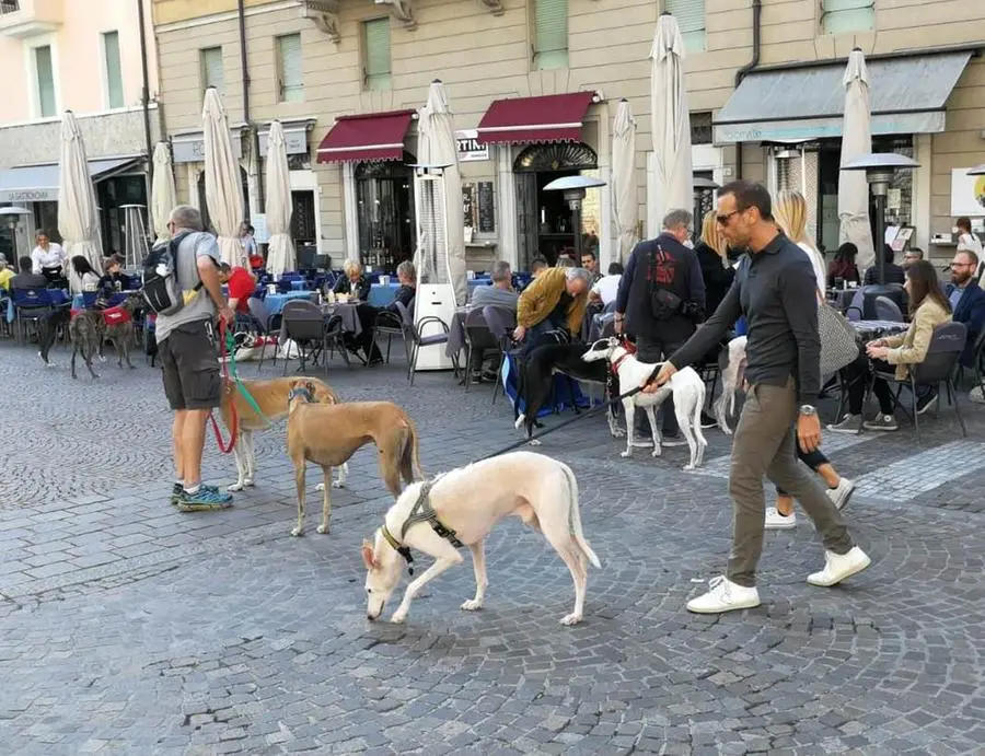 Levrieri in piazza Paolo VI, per la passeggiata di sensibilizzazione