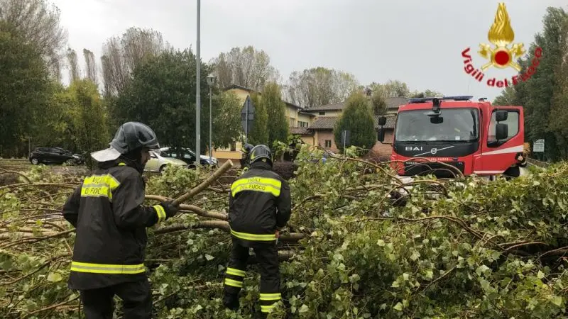 Alberi caduti sulla Provinciale, la Quinzanese tagliata in due