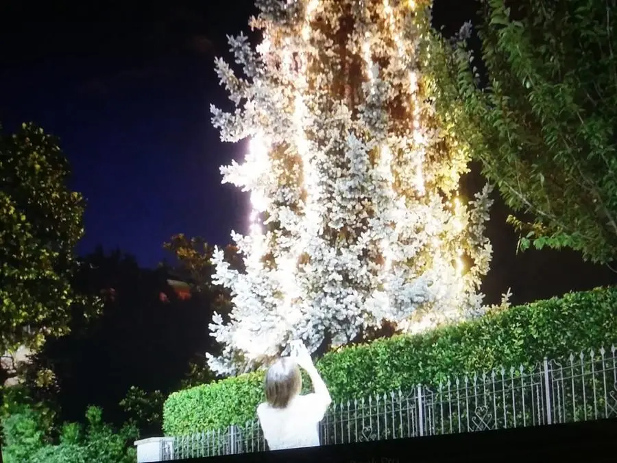 L'albero di Natale in via Schivardi