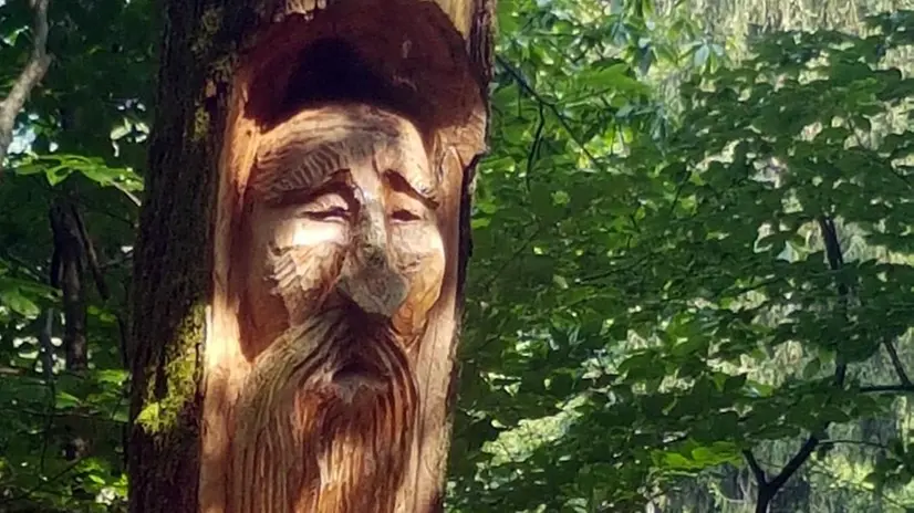 Nel bosco. Una scultura dell’artista locale Enrico Pilotti