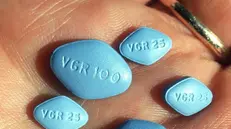 Il farmaco. La famosa pillola blu utilizzata per le funzioni erettili maschili sperimentata sulle donne gravide con gravi effetti collaterali