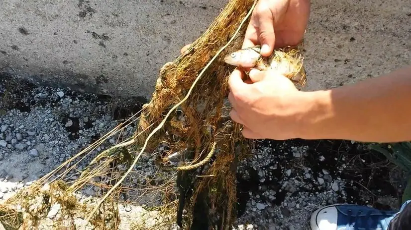 Una rete utilizzata per la pesca di frodo (foto d'archivio)