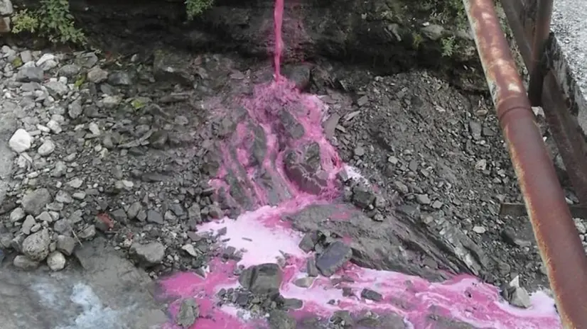 Inquinamento. L’inquietante rigagnolo di acqua violastra