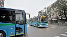 Autobus Sia