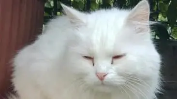 Bianco aveva 13 anni