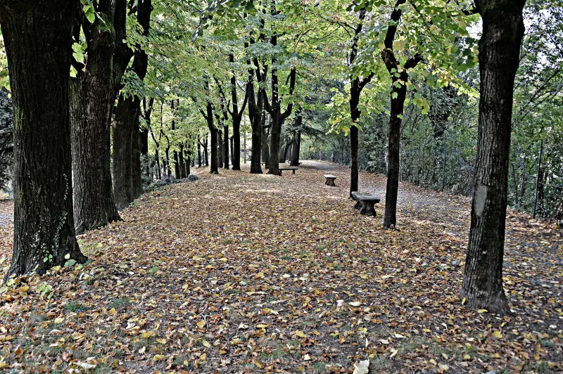 La città si veste d'Autunno -    Foto Pierre Putelli/Neg © www.giornaledibrescia.it