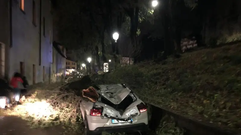 In castello, albero cade su un'auto