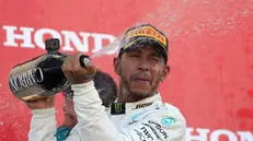 Lewis Hamilton festeggia la vittoria - Foto Ansa/Epa Franck Robichon