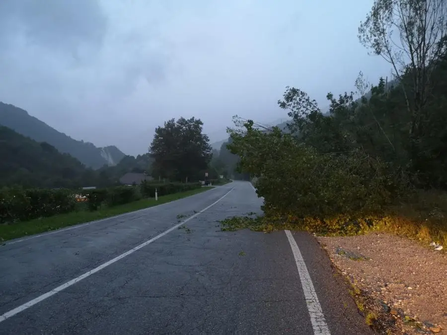 Gli alberi abbattuti dal vento nel Bresciano