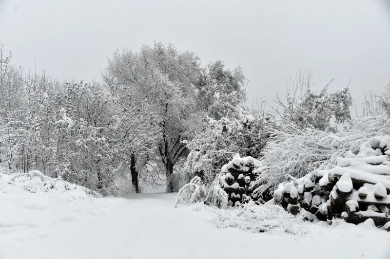 Dieci centimetri di neve in Maddalena