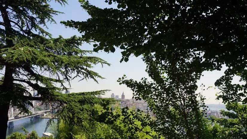 Il giardino botanico di Istanbul