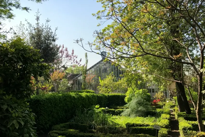 Il giardino botanico di Istanbul