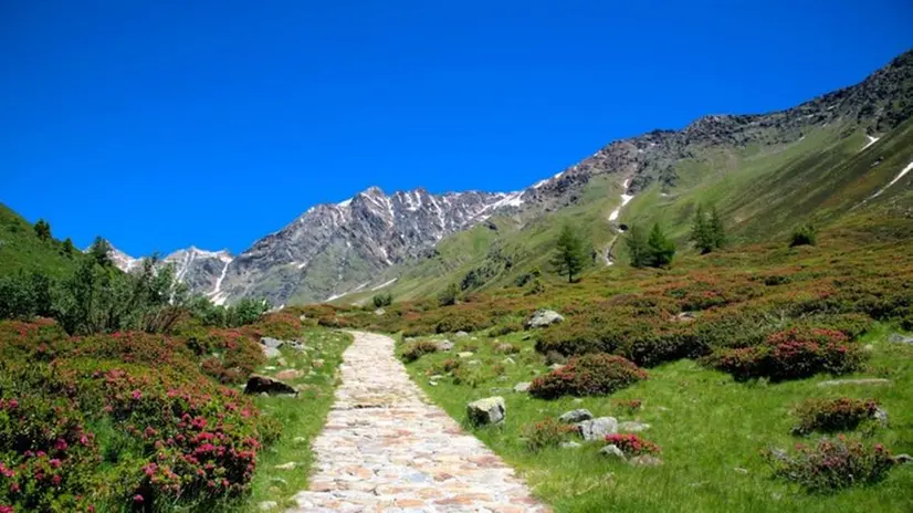 Veduta panoramica in Valcamonica - Foto Gian Luigi Vavassori © zoom.giornaledibrescia.it