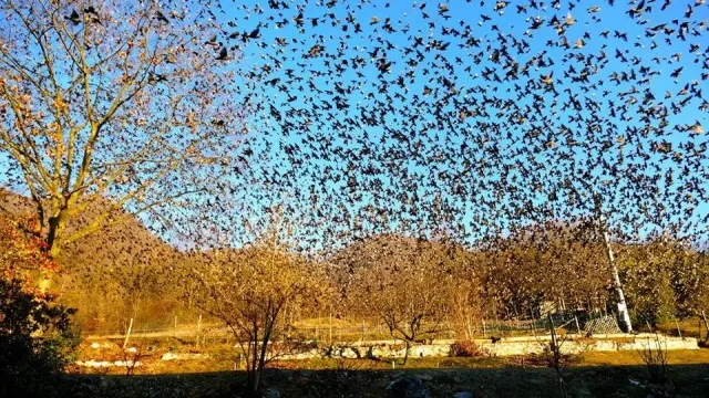 In volo. Il problema di Remedello è comune ad altre zone del Bresciano