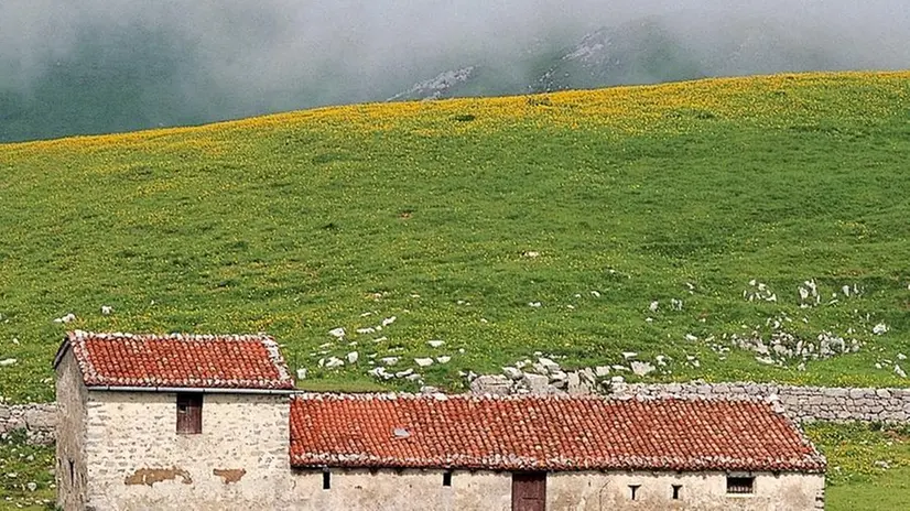 Le malghe per il pascolo d’estate - © www.giornaledibrescia.it