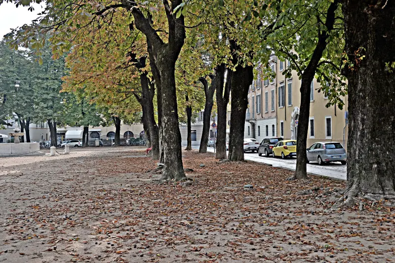 La città si veste d'Autunno -    Foto Pierre Putelli/Neg © www.giornaledibrescia.it