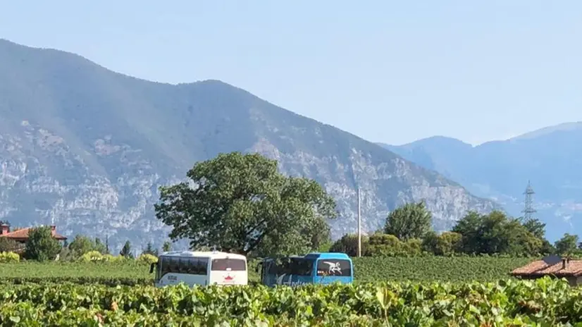 Bus di operai agricoli al lavoro nei campi - © www.giornaledibrescia.it