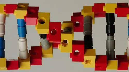 Scoperta la preziosa proteina-Lego (foto simbolica)
