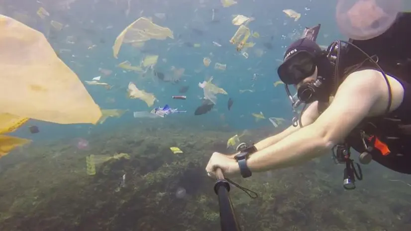 Quello della plastica nei mari e nei laghi è uno dei problemi ecologici di maggior rilievo del ventunesimo secolo