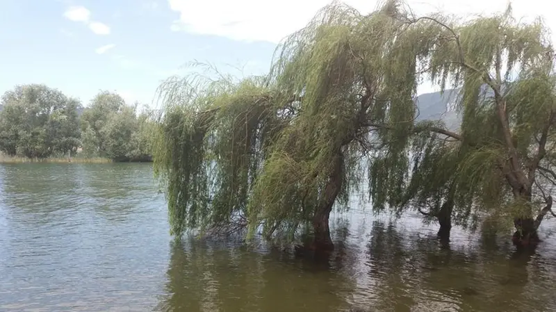 Sfumature. L’aspetto cromatico del lago è variabile