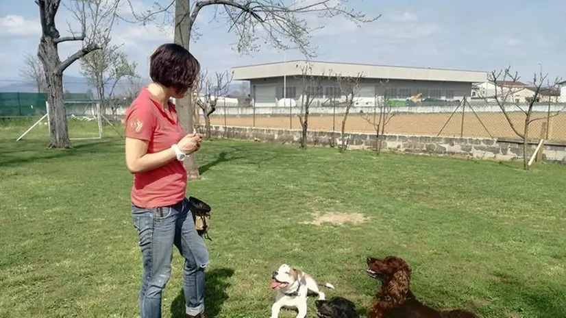 Inaugurazione. L’apertura della «Dog School Franciacorta» con i primi ospiti a quattro zampe