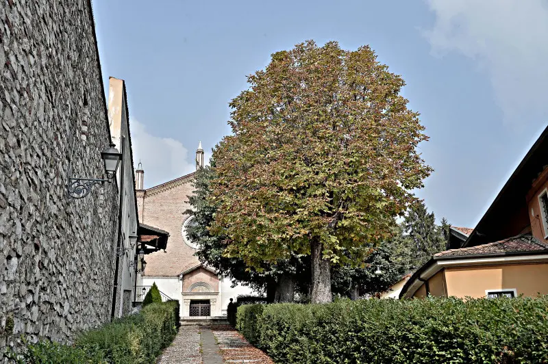 La città si veste d'Autunno -    Foto Pierre Putelli/Neg © www.giornaledibrescia.it