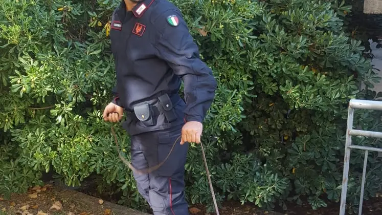 Cane antidroga a scuola - Foto  © www.giornaledibrescia.it