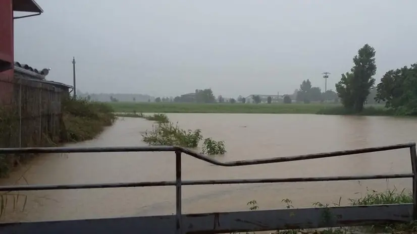 A Offlaga. Un campo di Faverzano di Offlaga completamente sott’acqua