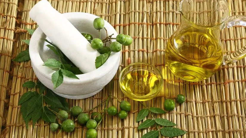 Olio di Neem (immagine simbolica)