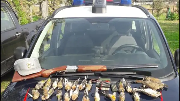 Alcuni degli uccelli e delle armi sequestrati