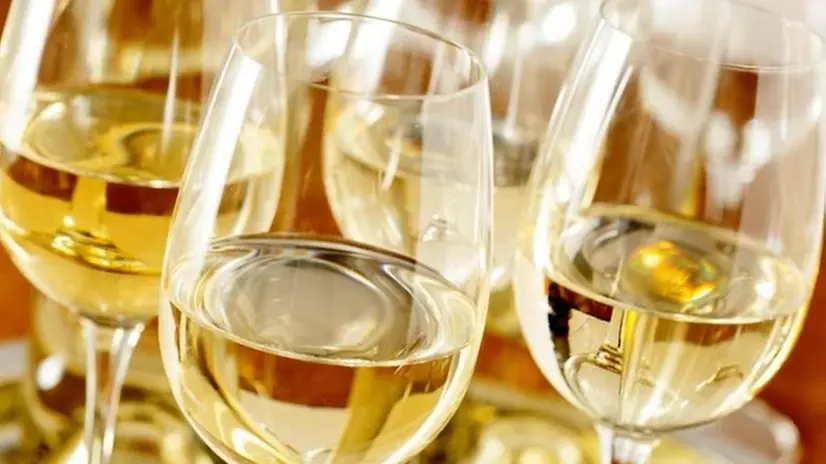 Il vino bianco italiano fa faville all'estero