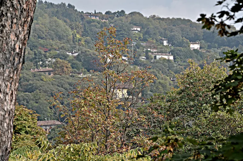 La città si veste d'Autunno -    Foto Pierre Putelli/Neg © www.giornaledibrescia.it