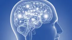 La diffusione di anomali depositi proteici cerebrali contenenti Sinapsina 3 causa la malattia di Parkinson - Foto  © www.giornaledibrescia.it