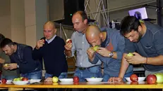 Una passata gara di mangiatori di mele - Foto © www.giornaledibrescia.it