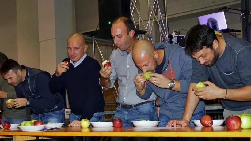 Una passata gara di mangiatori di mele - Foto © www.giornaledibrescia.it