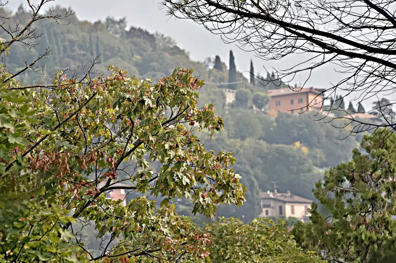 La città si veste d'Autunno -    Foto Pierre Putelli/Neg © www.giornaledibrescia.it