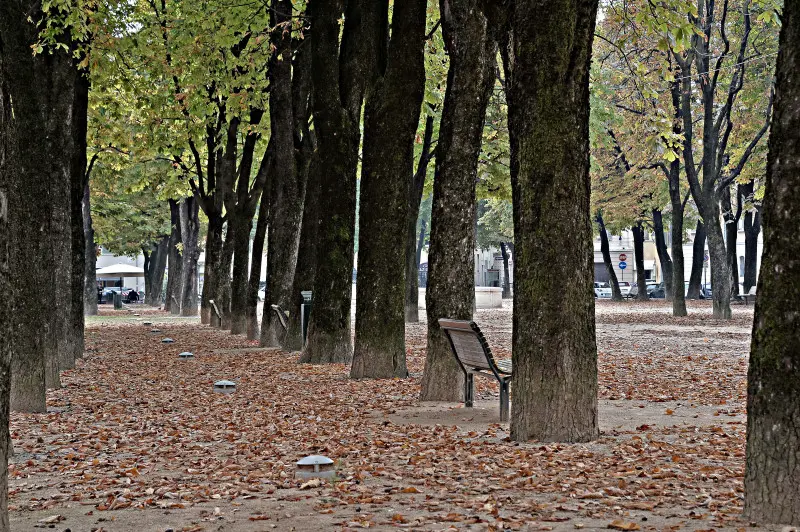 La città si veste d'Autunno -    Foto Pierre Putelli/Neg © www.giornaledibrescia.it