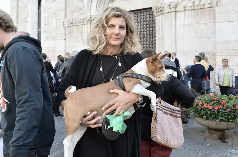 Benedizione degli animali a San Francesco