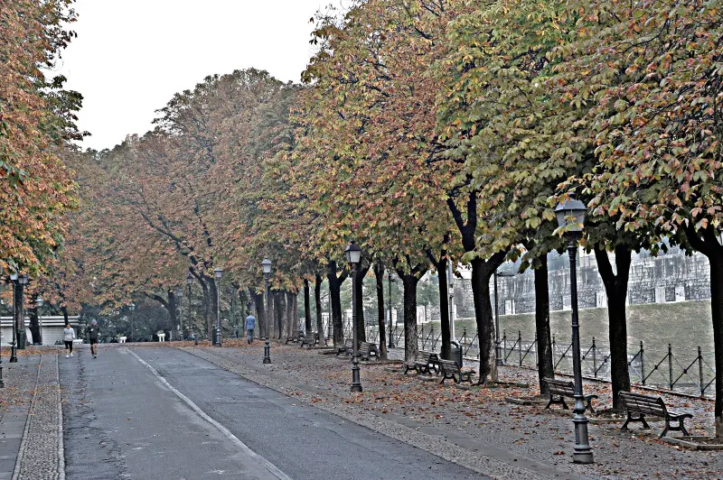 Prima nebbia dell'anno sul Bresciano stamane - Foto Putelli/Neg © www.giornaledibrescia.it
