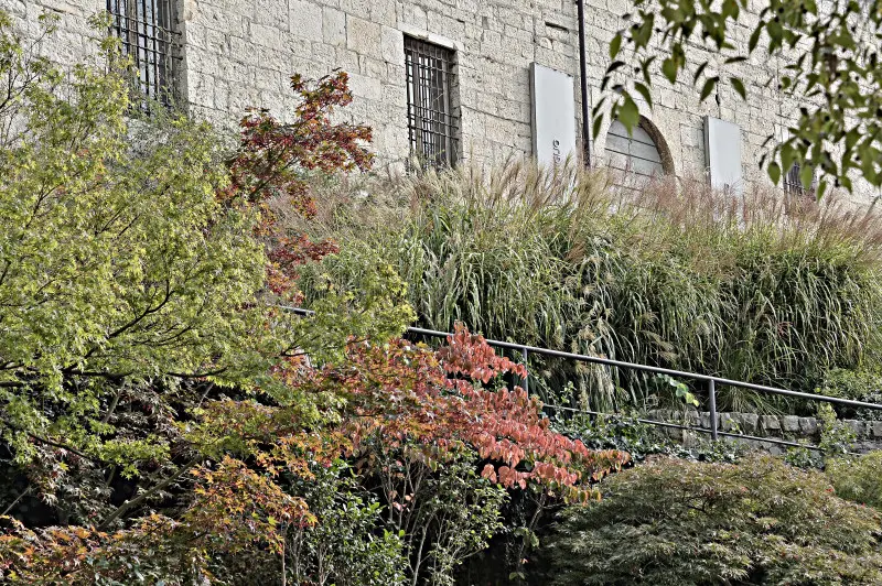 La città si veste d'Autunno -    Foto Pierre Putelli/Neg © www.giornaledibrescia.it