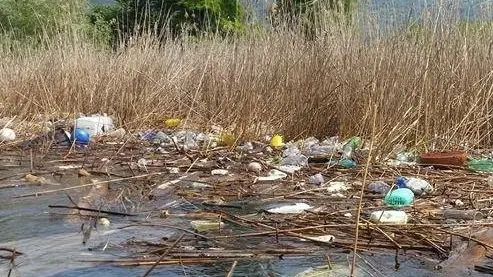 Alle Torbiere. La plastica che si è depositata nelle Lamette