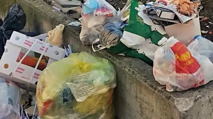 Abbandoni selvaggi. Sacchetti dei rifiuti abbandonati