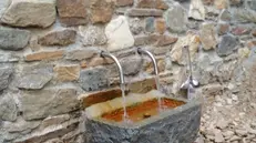Il recupero. Una fonte d'acqua ferrugginosa a Vione già recuperata -  © www.giornaledibrescia.it