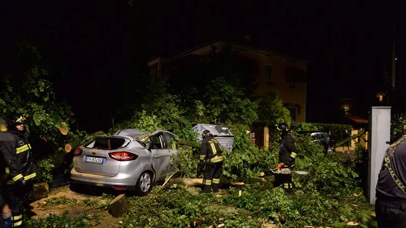 Un albero caduto su un'auto parcheggiata a Brescia - Foto Gabriele Strada /Neg © www.giornaledibrescia.it