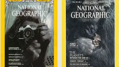 Le copertine del NG con Koko - © www.giornaledibrescia.it