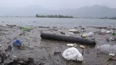 I rifiuti scendono dall’alto lago e si fermano in questo approdo naturale
