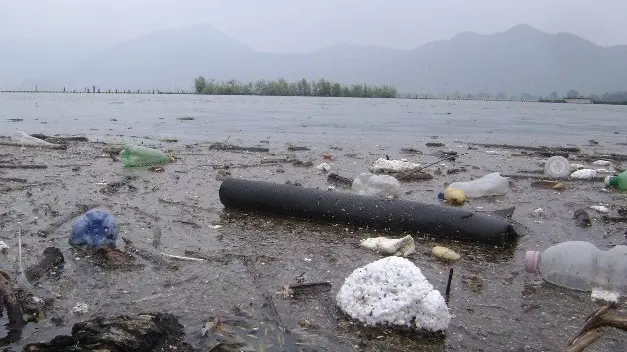 I rifiuti scendono dall’alto lago e si fermano in questo approdo naturale