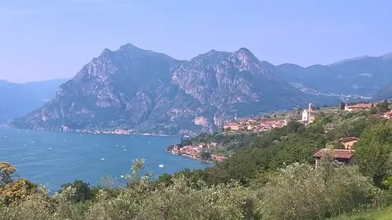 Da «preservare». Una foto con gli ulivi di Monte Isola