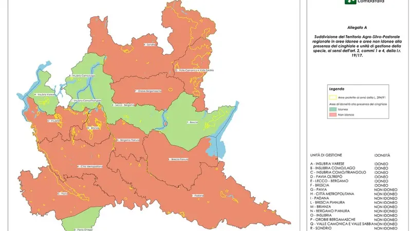 Cinghiali, ecco la nuova mappa regionale - © www.giornaledibrescia.it