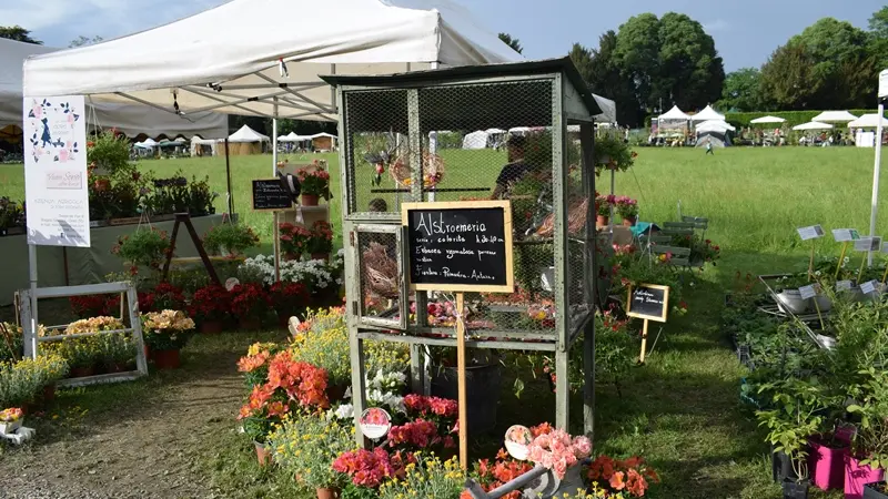 «Tre giorni per il giardino» a Masino